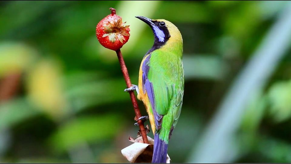 From Ha Noi Cuc Phuong National Park - Price and Value: The Real Math Behind $66