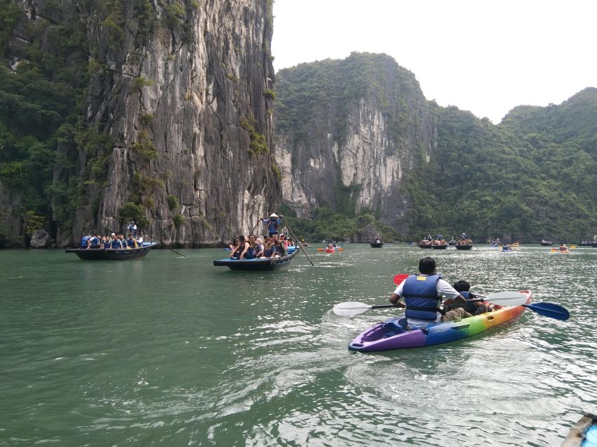 From Ha Noi - Fullday Trip Ha Long Bay - Price and Value at $91: What You Get for a One-Day Schedule