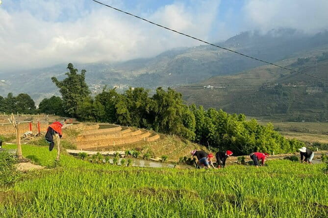 From Hà Nội ; Mu Cang Chai 3 Days 2 Nights By Car and Trekking - Khau Pha Pass: Where the Views and the Action Both Happen