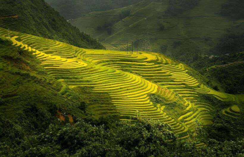 From Hanoi: 1-day Sapa Trekking Tour With Overnight Bus - 6:00 to early afternoon: the hike that links Y Linh Ho, Lao Chai, and Ta Van
