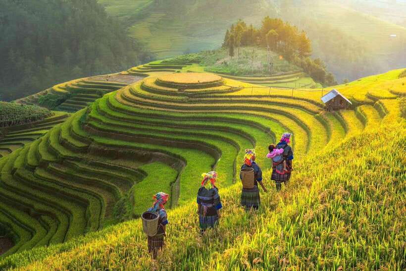 From Hanoi: 1-day Sapa Trekking Tour With Overnight Bus - Price and value: what $52 really covers (and what it doesn’t)