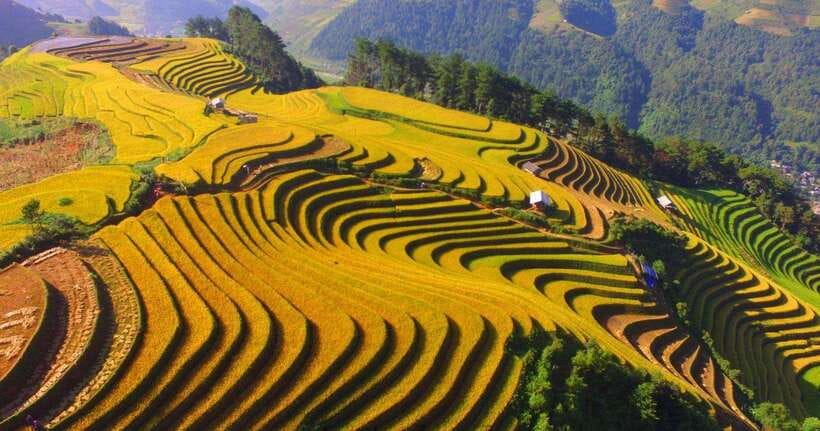 From Hanoi: 1-day Sapa Trekking Tour With Overnight Bus - Who should book this, and who should skip it