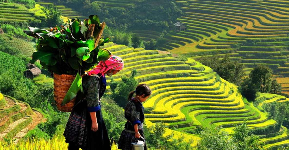 From Hanoi: 2-Day 2-Night Sapa Tour by Overnight Train - Day 1 trekking to Sin Chai: a short down-trek with big culture payoffs