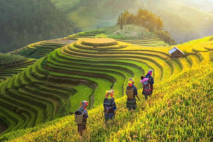 From Hanoi: 2-Day Luxury Sapa Trekking Tour with Homestay - Key highlights worth your attention