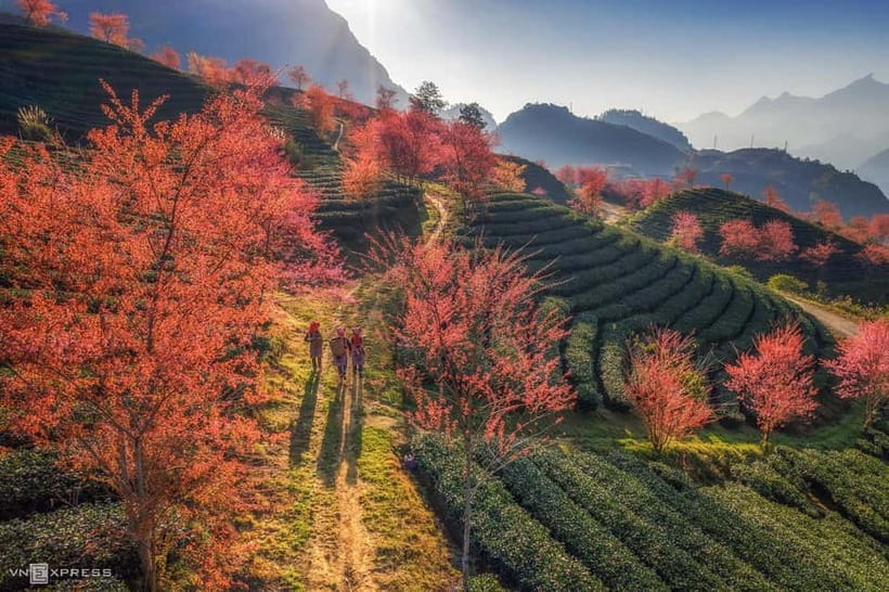 From Hanoi: 2-Day Luxury Sapa Trekking Tour with Homestay - Sapa Trekking With a Homestay: Why This 2-Day Mix Works