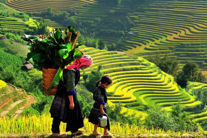 From Hanoi: 2-Day Overnight Sapa Tour by Luxury Van Limousine - From Hanoi to Sapa: why this overnight format feels efficient