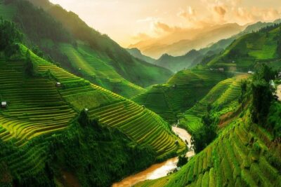 From Hanoi: 2-Day Overnight Sapa Tour by Luxury Van Limousine - Day 1: Cat Cát and the first dose of terraced paths