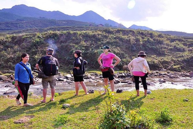 From Hanoi: 2-Day Overnight Sapa Tour by Luxury Van Limousine - Day 2: rice terraces and village hopping in the Hoàng Liên Sơn region