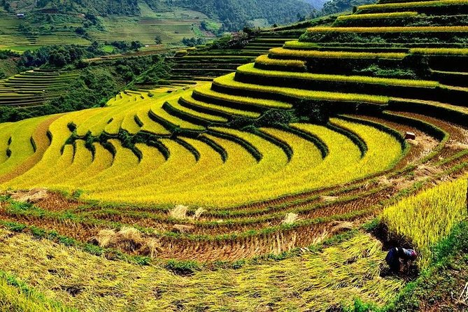 From Hanoi: 2-Day Overnight Sapa Tour by Luxury Van Limousine - Cat Cát vs the village treks: plan your expectations