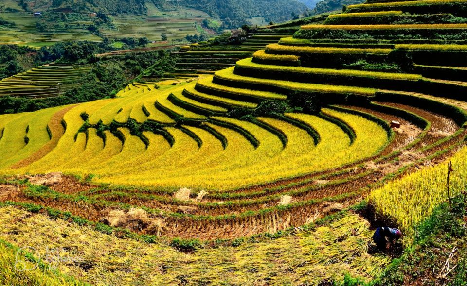 From Hanoi: 2-Day Sapa-Fansipan Peak & Trek & Ha Giang Bus - Walking Reality: What the Trek Feels Like (and How to Prepare)