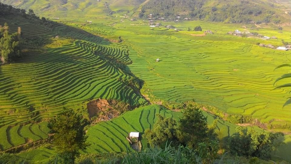 From Hanoi: 2 Day Sapa Trekking To Village & Bungalow, Meals - The Ta Van Bungalow Night: Family Time, Sunset, and Simple Evening Life