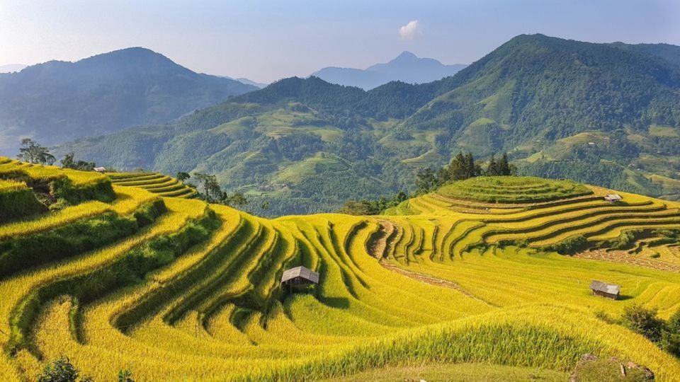 From Hanoi: 2 Day Sapa Trekking To Village & Bungalow, Meals - Day 2: Rice Paddies, Bamboo Forest, Giang Ta Chai, and the Red Dzao Connection