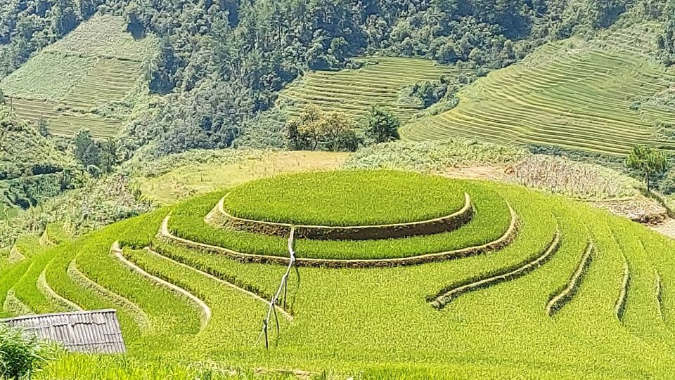 From Hanoi: 2 Day Sapa Trekking To Village & Bungalow, Meals - Price and Logistics: Where the Value Comes In, and What to Confirm