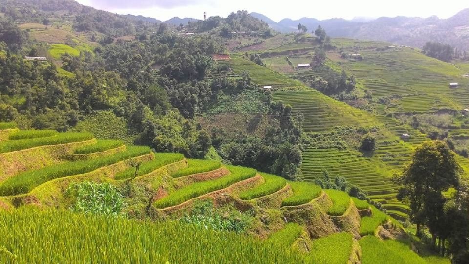 From Hanoi: 2 Day Sapa Trekking To Village & Bungalow, Meals - Packing and Fitness: The Sapa Cold, the Fog, and Your Feet
