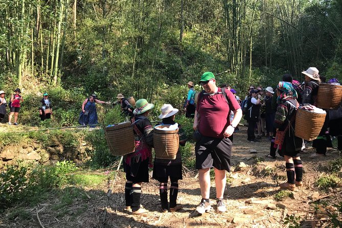 From Hanoi: 2 Days Sapa Trek & Fansipan Adventure with Dcar - Hanoi to Sapa the easy way: Dcar 9s comfort and a real start time