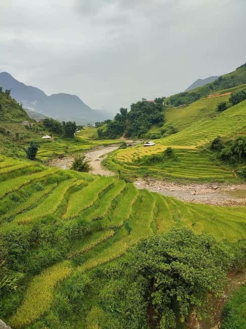 From Hanoi: 2-Days Sapa Trek Lao Chai/Cat Cat, Fansipan Peak - Fansipan cable car and the view at 3,143 meters