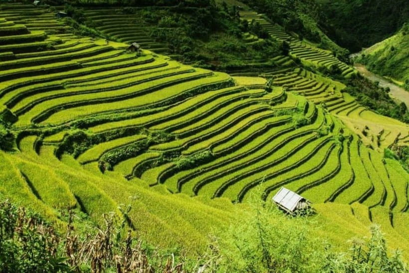From Hanoi: 2-Days Sapa Trek Lao Chai/Cat Cat, Fansipan Peak - Choosing your trek: Cat Cat or Lao Chai and Ta Van