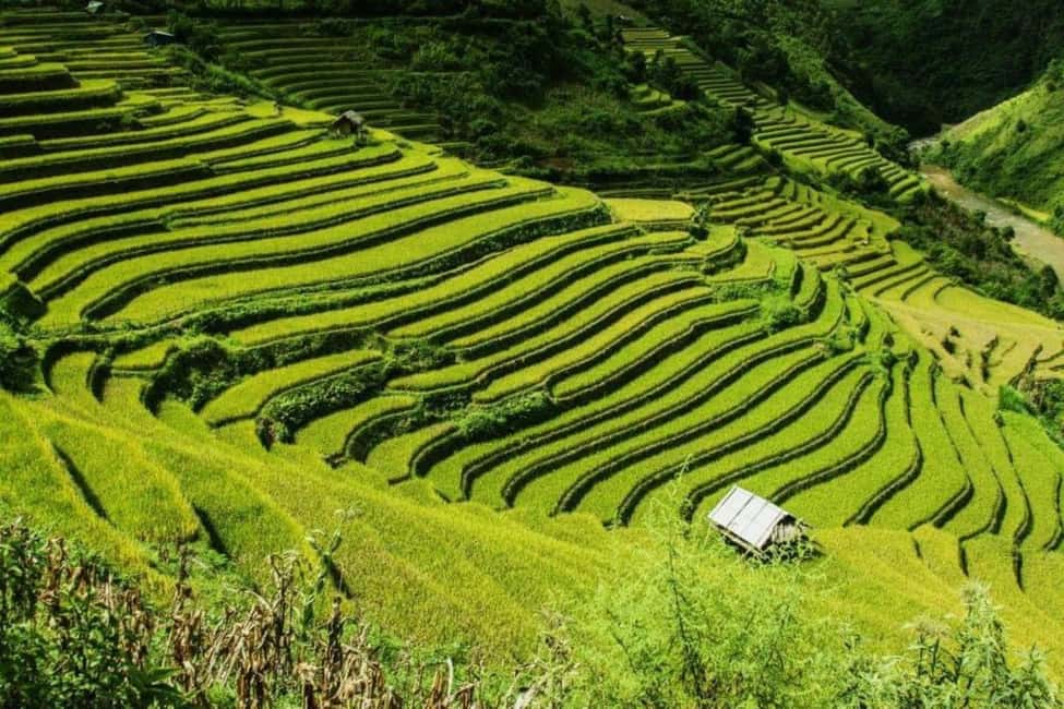 From Hanoi: 2-Days Sapa Trekking Tour Lao Chai and Cat Cat - From Hanoi to Sapa: the ride style matters