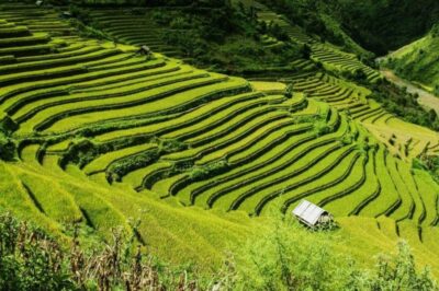 From Hanoi: 2-Days Sapa Trekking Tour Lao Chai and Cat Cat - Day 1: Cat Cat village, the valley path, and the waterfall stop