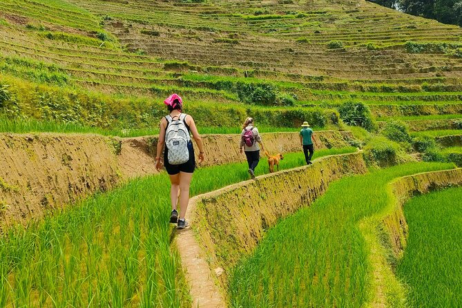 From Hanoi: 2D1N Mu Cang Chai Private Trekking & Homestay - Key highlights you’ll care about