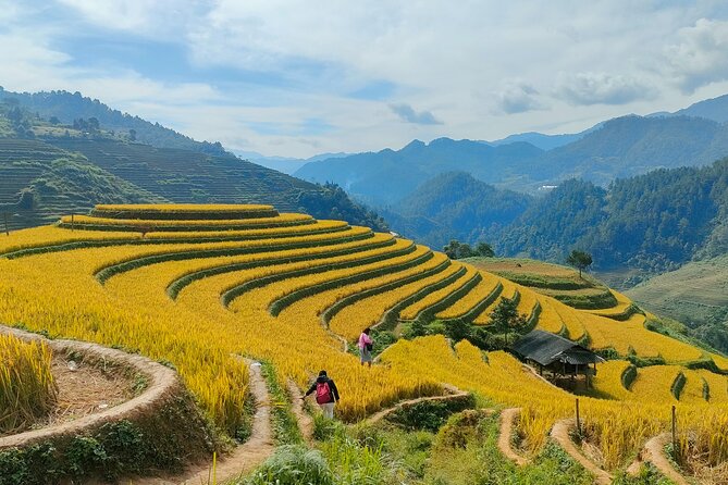 From Hanoi: 2D1N Mu Cang Chai Private Trekking & Homestay - FAQ