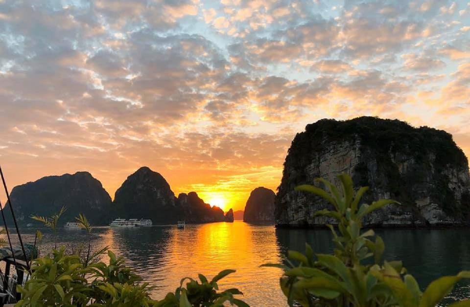From Hanoi: 3-Day and 2-Night Cruise Stay at Bai Tu Long Bay - Key highlights at a glance
