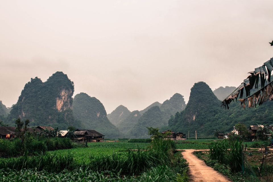 From Hanoi: 3-Day Ba Be Lake & Ban Gioc Falls Private Tour - Day 3: Ba Be National Park by Lake Boat, Cam Village Walk, and Puong Cave