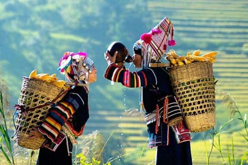 From Hanoi: 3-Day Guided Tour of Sapa with 3-Star Hotel - Dragon Express Sleeper Bus: Comfort, timing, and what to request