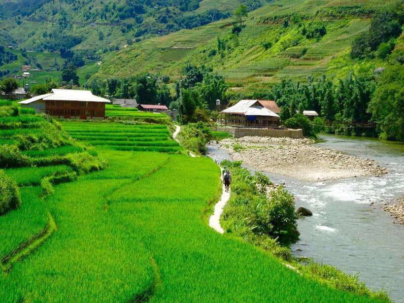 From Hanoi: 3-Day Sapa, Fansipan, Ninh Binh Tour with Meals - Day 2 afternoon: the Cabin VIP sleeper bus to Ninh Binh