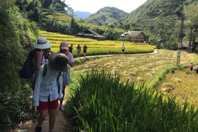 From Hanoi: 3 Days Luxury Sapa Trek & Fansipan Peak with Dcar - Day 2 night: Hotel base and getting ready for views day