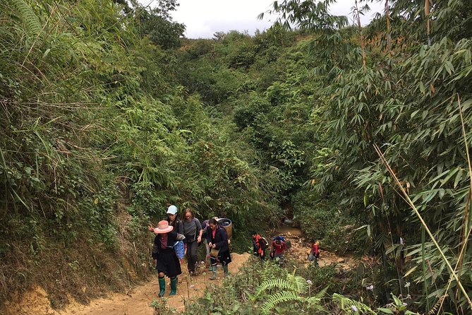 From Hanoi: 3 Days Luxury Sapa Trek & Fansipan Peak with Dcar - Fit and expectations: moderate hiking, cool temperatures, real walking