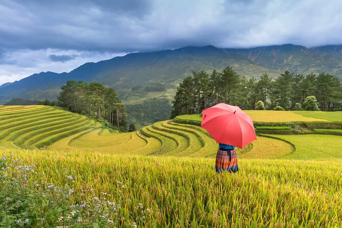 From Hanoi: 3 Days Sapa Trekking & Ethnic Villages by Dcar - Treks and weather in Sapa: how to make day 2 and 3 easier