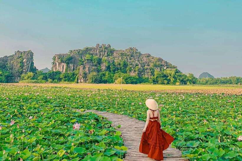 From Hanoi: 5-Day Sapa, Ninh Binh, Ha Long Bay Cruise - Who This Tour Fits Best