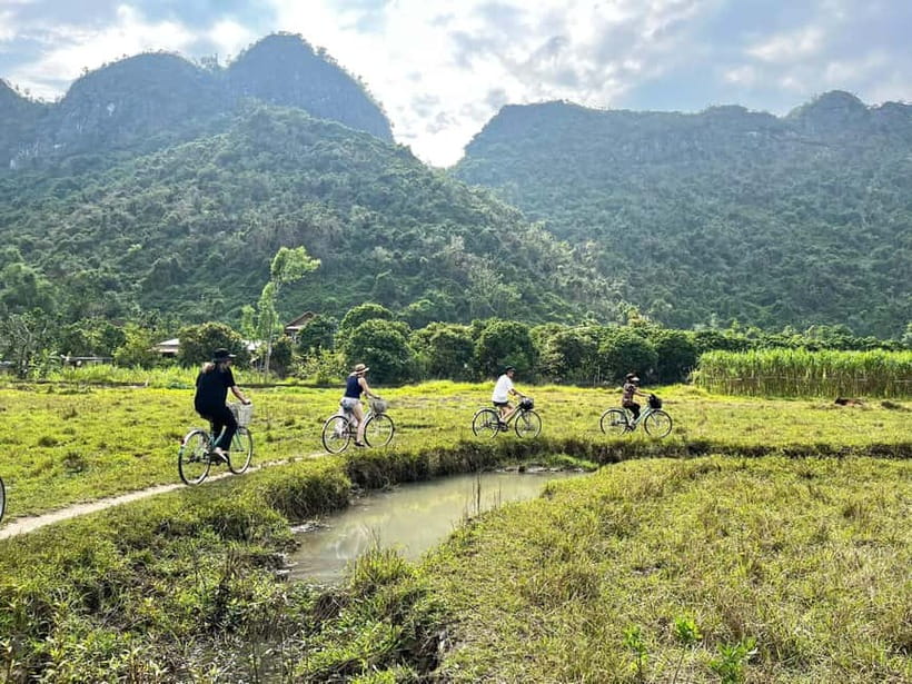 From Hanoi/Cat Ba: Lan Ha Bay Day Trip with Cruise and Lunch - Buffet lunch on board: a value move that keeps your day flowing