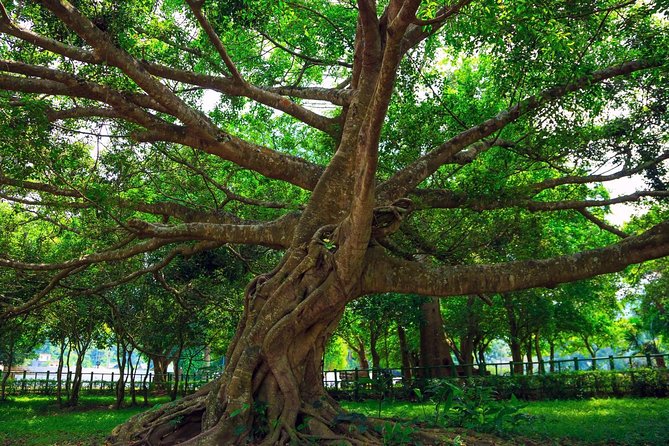 From Hanoi: Cuc Phuong National Park Day Trip by Private Car - Hotel Pickup and Mobile Ticket: How the Day Flows