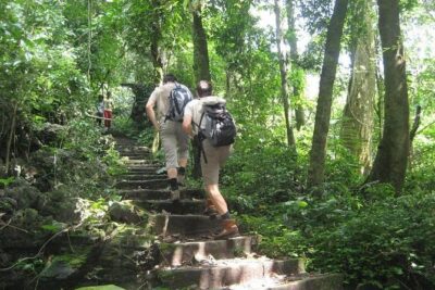 From Hanoi: Cuc Phuong National Park Day Trip by Private Car - Cuc Phuong National Park: Vietnam’s Oldest-Feel Nature Day