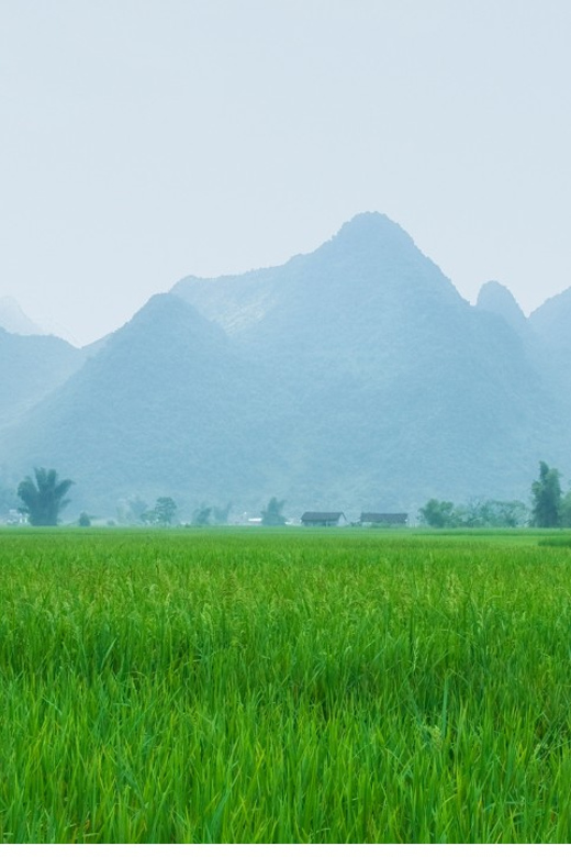 From Hanoi: Easy Rider 2 Day Motorbike Tour of Cao Bang Loop - Vinh Quy Grass Hills and Doc Lap Waterfall: more than a one-stop finale