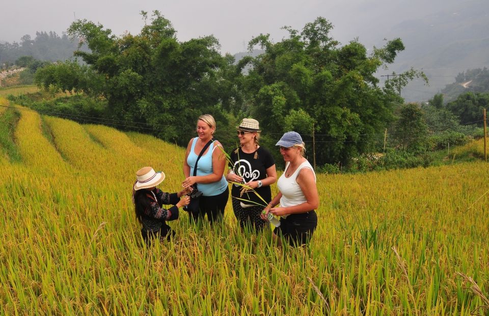 From Hanoi: Explore Sapa 2-Day Tour - Day 2: Muong Hoa Valley and the Walk Between Villages