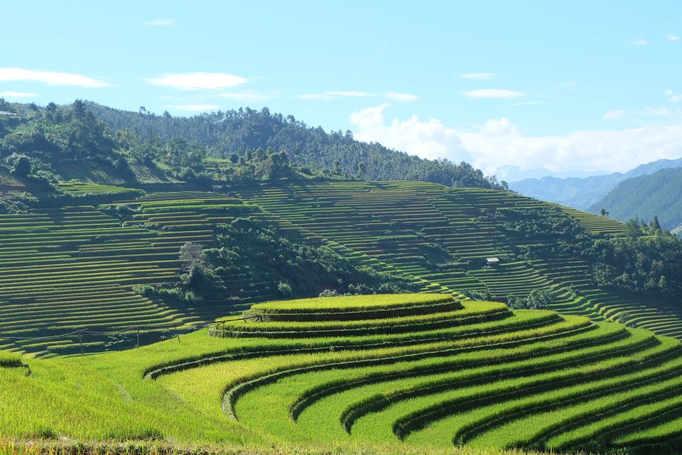 From Hanoi: Explore Sapa 2-Day Tour - Who This Tour Suits Best (and Who Should Skip)