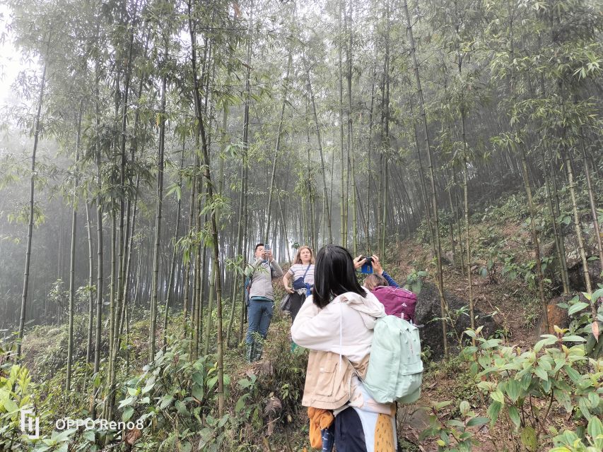 From Hanoi: Guided 2-Day Tour of Sa Pa with Lunch & Dinner - Price and what $84 really covers