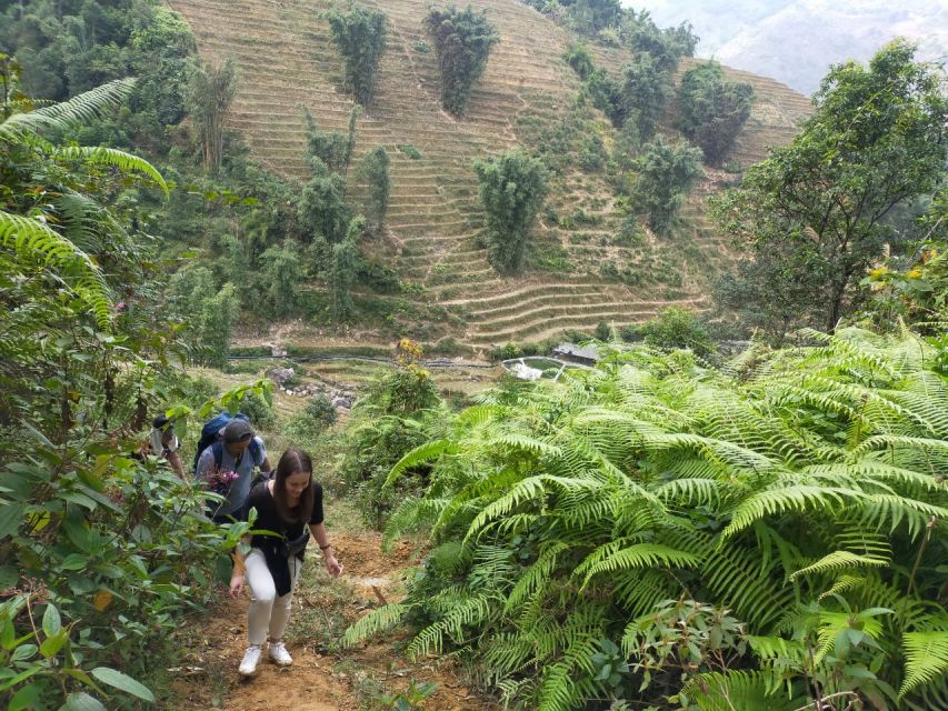 From Hanoi: Guided 2-Day Tour of Sa Pa with Lunch & Dinner - Who should book this Sa Pa trek with homestay?