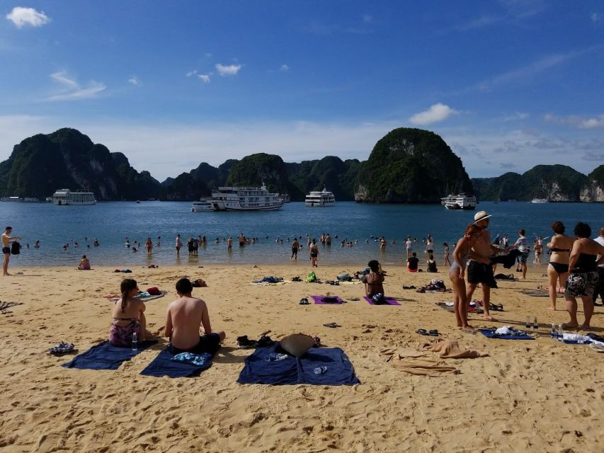 From Hanoi: Halong Bay Day Trip w/ Cave, Island & Kayak - The sunset party: red wine, tea, French fries, and cake