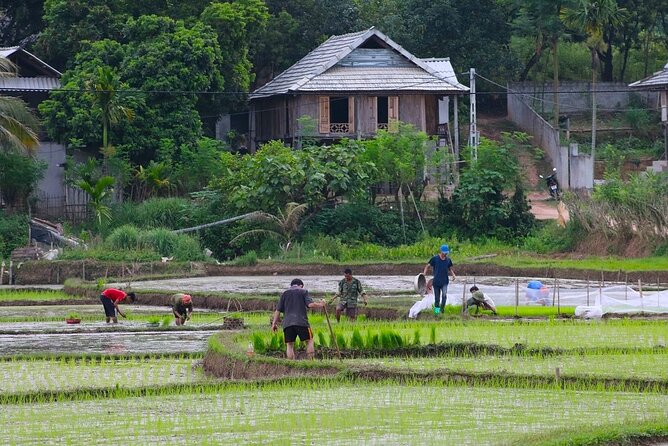 From Hanoi Hidden Gems of Mai Chau Explore Rural Villages by Bike - How the day wraps up in Hanoi (and why 6pm matters)