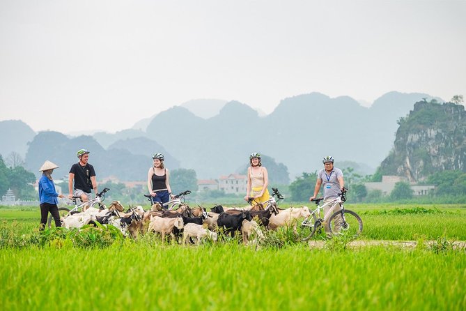 From Hanoi: Hoa Lu - Tam Coc boating - Cycling & Mua Cave visit - Key things I’d plan around