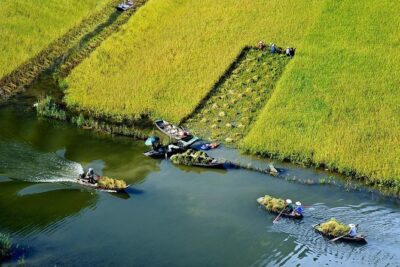 From Hanoi: Hoa Lu - Tam Coc boating - Cycling & Mua Cave visit - Trang An or Tam Coc: two hours of boat rowing through caves