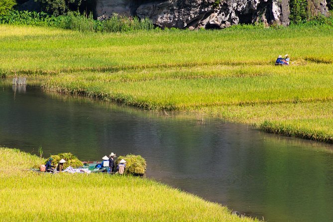 From Hanoi: Hoa Lu - Tam Coc boating - Cycling & Mua Cave visit - Mua Cave: the 500 steps viewpoint over Tam Cốc valley