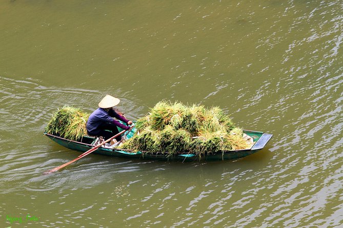 From Hanoi: Hoa Lu - Tam Coc boating - Cycling & Mua Cave visit - Who should book this Ninh Binh day trip from Hanoi