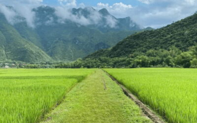 From Hanoi: Mai Chau Full-day Biking Tour - Thung Khe Pass stop: views first, then com lam