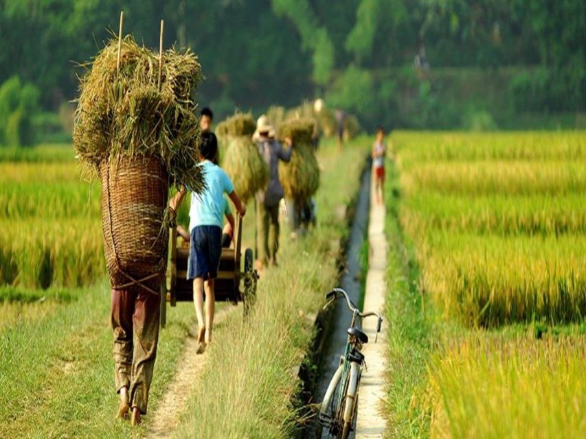 From Hanoi: Mai Chau Valley & Hill Tribes 2-Day Trek Tour - Fitness Reality Check: What You Should Expect (and Prep For)
