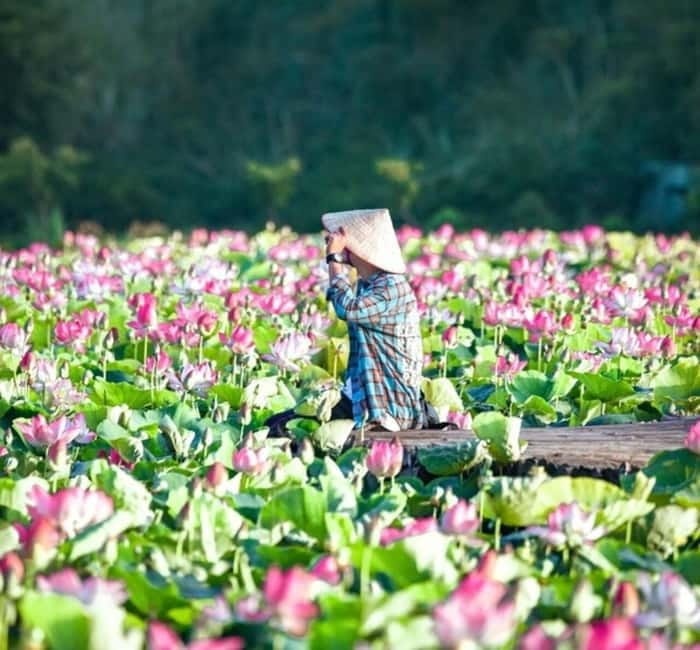 From Hanoi: Ninh Binh Bai Dinh or Hoa Lu, Trang An, Mua Cave - Lunch, AC Transfer, and How the Day Feels in Motion